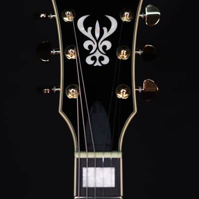 Ibanez AG95MGDA, AG Expressionist, Mango top/back/sides, Gold Hardware image 9