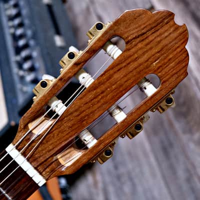 Gibson Chet Atkins CE Classical Nylon Guitar w/ Hard Case - 1982 image 13