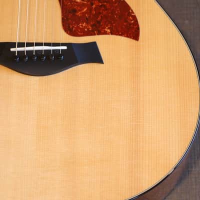 MINTY! 2016 Taylor 516ce Natural Grand Symphony Acoustic/Electric Cutaway Guitar + OHSC (4767) image 7