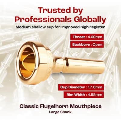 Denis Wick Classic Flugelhorn Mouthpiece 5884-4FL | Silver Plated | Large Shank image 4