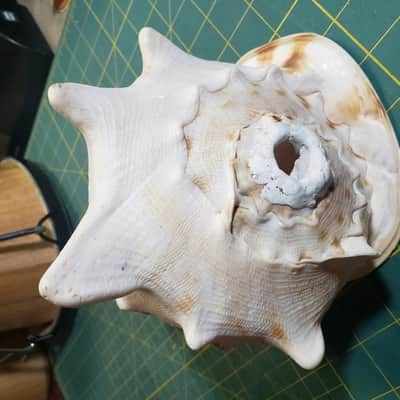Handmade Conch Shell #1 Horn w/Sugru Mouthpiece Rim Made By James's Vintage Workshop! image 2