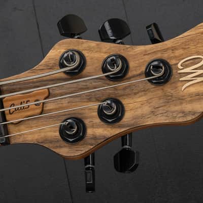 Mayones Cali 5 Mini Bass Walnut - Trans Natural Matt image 8