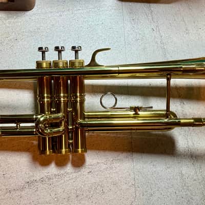 Parrot Trumpet model NO.6416 image 1