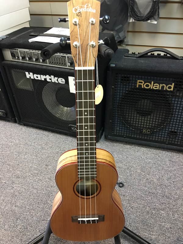 Cordoba 24C Concert Ukulele image 1