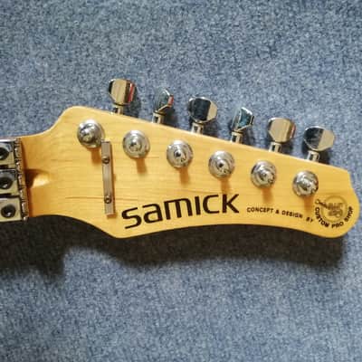 Rare Vintage 90's - Samick Valley Arts Super Strat SSM2 (1993, Natural, Floyd Rose Licence) image 9