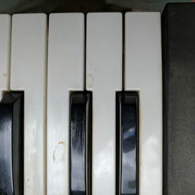 ARP String Ensemble 1970's Wood image 12