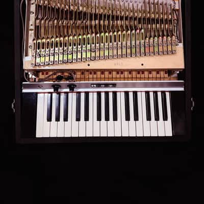 Rhodes Piano Bass - Black image 4