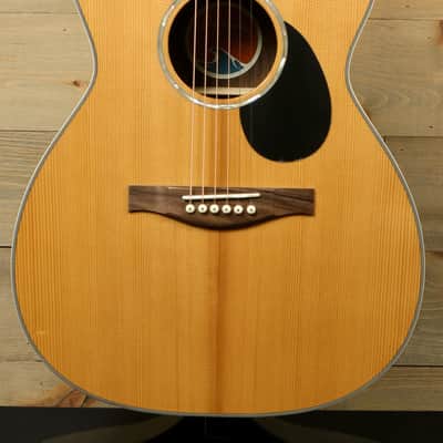 Eastman PCH2-OM image 1