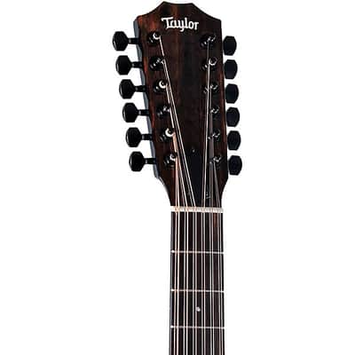 Taylor 250ce Plus BLK Doce Doble W/bg image 5