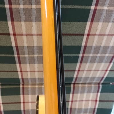 Royal Artist Bruno Rare 1960s Vintage Short-Scale Bass w/Gig Bag image 11
