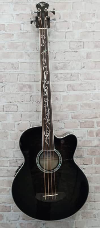 Michael Kelly DRAGONFLY 4 FRETLESS ACOUSTIC ELECTRIC BASS Acoustic Bass Guitar (Sarasota, FL) image 1