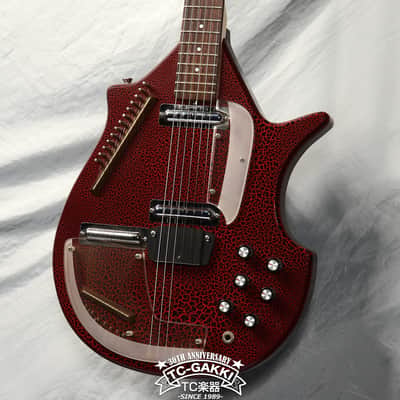 JERRY JONES GUITARS Electric Sitar image 2