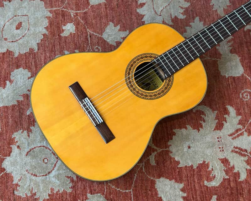 Wayne D-65 Classical Guitar imagen 1