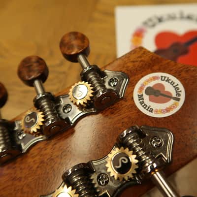 Kamaka HF-38 Curly Koa 8-String Tenor #4004 image 22