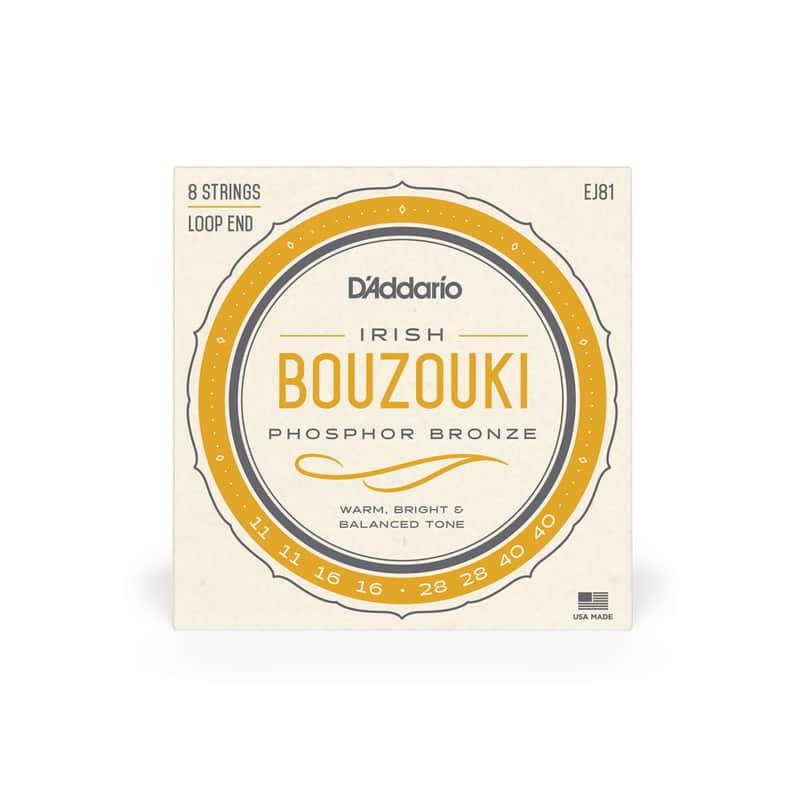 D'ADDARIO EJ81 Corde per Irish Bouzouki image 1