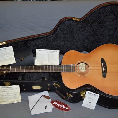 2019 Breedlove - Concerto E - Cinnamon Burst image 6