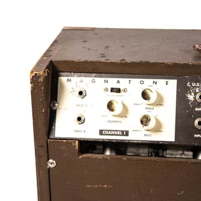 Magnatone Custom 260 High Fidelity Owned by Mike Campbell image 5