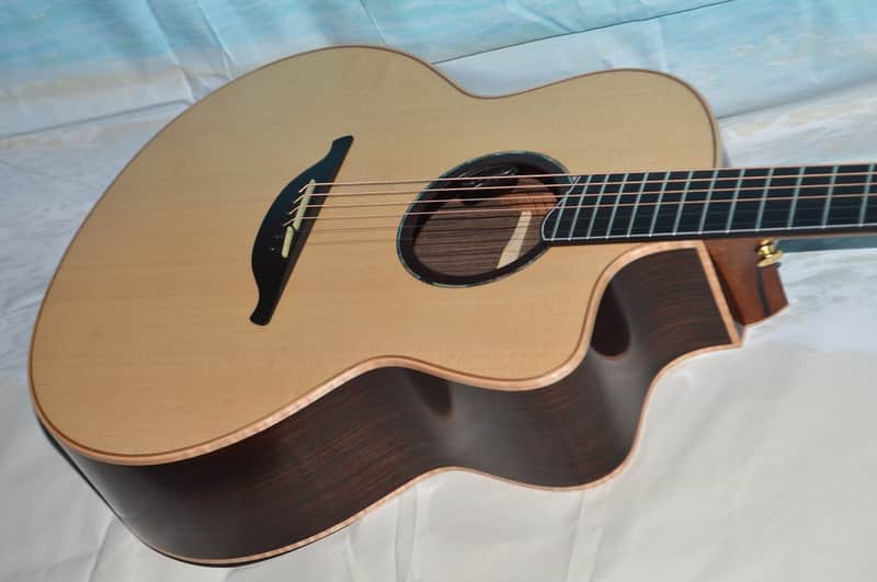 Hsienmo F Model Rosewood, Baggs HiFi 2026 - Satin Sheen image 1