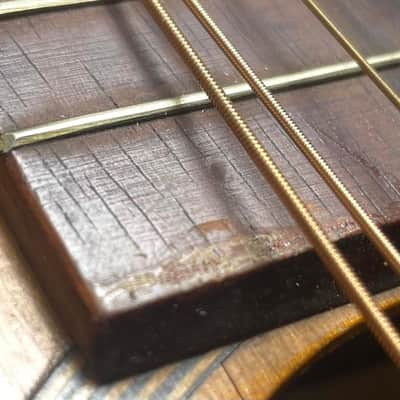 Lyon & Healy Parlor Guitar 1890 Natural - Fit perfectly with a New Guardian CG 018 TP Parlor Case image 10