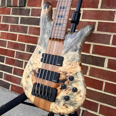 Spector USA NS-5XL, The Music Loft 30th Anniversary, Buckeye Burl Top, Reclaimed Redwood Body, Roasted Maple Neck, Roasted Birdseye Maple Fretboard, Ebony Inlays, Matching Headstock, EMG 40DCX Pickups, HAZ 9v, TSA Case image 4