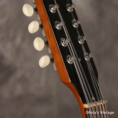 Gibson 12-String Melody Maker  1967 Pelham Blue image 9