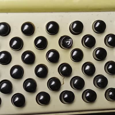 Salanti Vintage Accordion serial G100 image 12