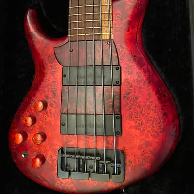 MTD 635-24 Michael Tobias Design (Lefty).w/ Custom Ramps. MTD 635 2015 Makore with poplar burl top & Florida rosewood neck. image 1