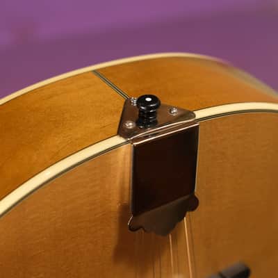 2010s Trinity College TM-375 Irish Bouzouki (As-new! w/OHSC! Fresh Setup, Ready to Go) image 14