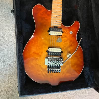 Ernie Ball Music Man Eddie Van Halen Signature Floyd 1991 - 1995 - Various image 8