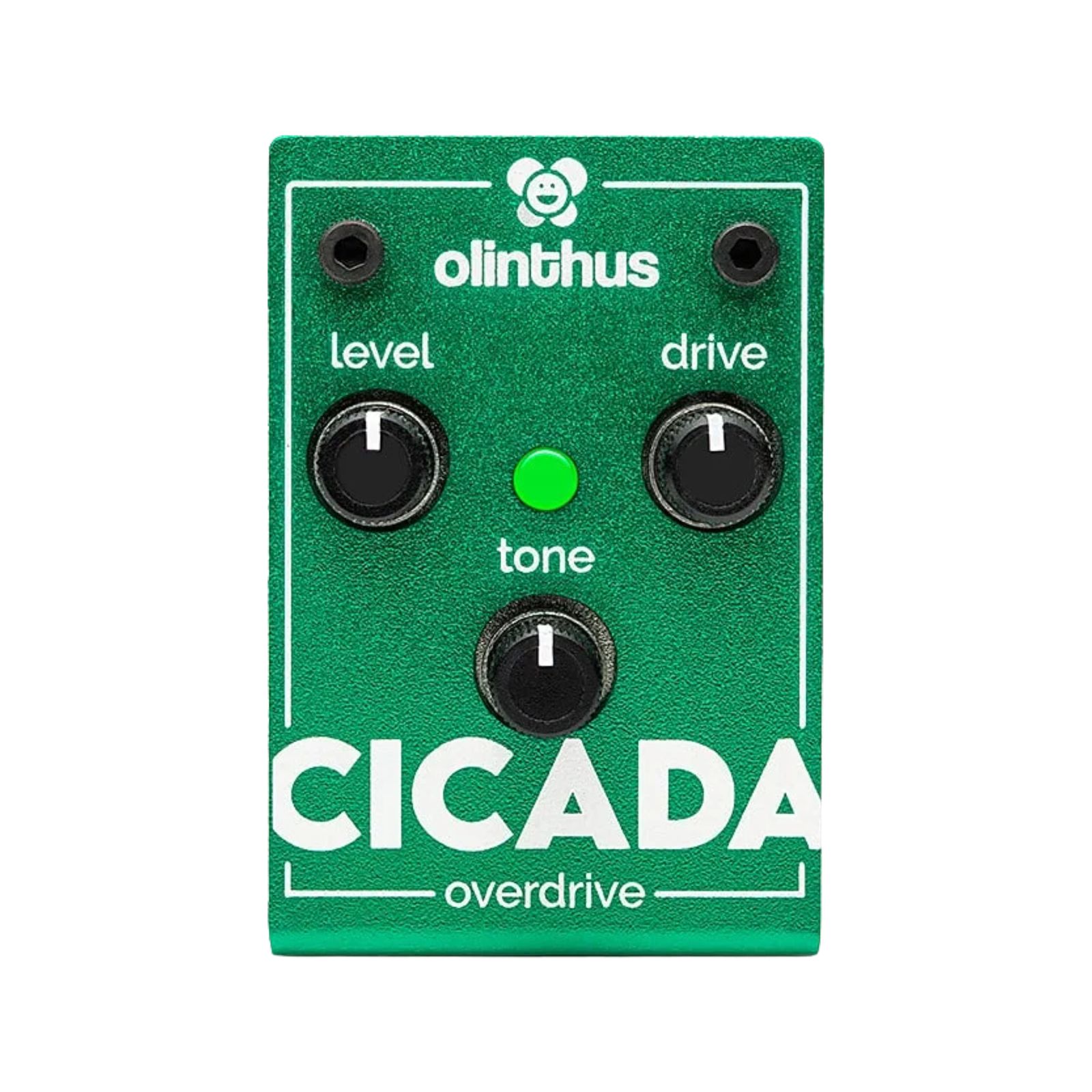 Olinthus Cicada Overdrive | Reverb