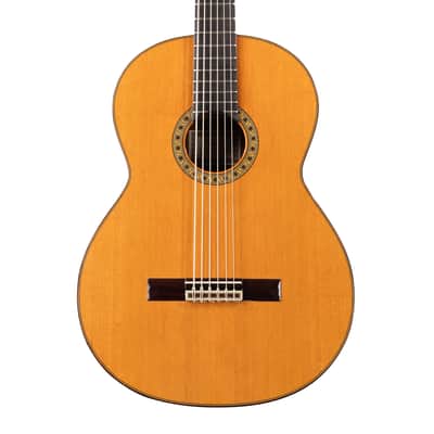 6 String Contrabass Guitar (Octave Bass) - Esteve PS75 - All Solid Wood/Cedar/Indian Rosewood - 750mm Scale Length image 3