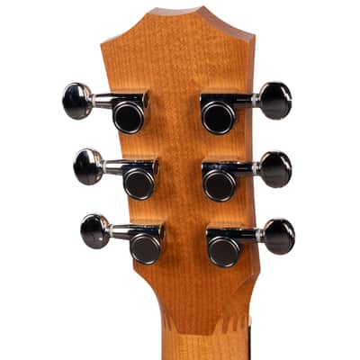 Taylor Baby Mahogany (BT2) (031) image 3