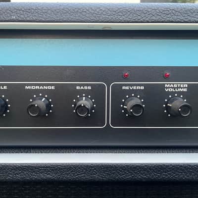 Vintage Acoustic Control Corp Model 125, 2x12 Combo Amp - 1970’s Made In USA image 3