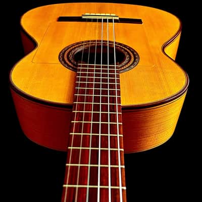 Edgar Piña Flamenco Concert Guitar-Spruce/Cypress image 16