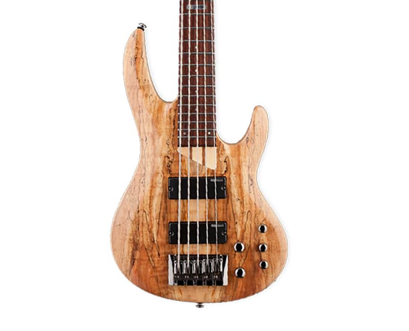 ESP LTD B-205SM 5-String Bass Guitar - Natural Satin image 1