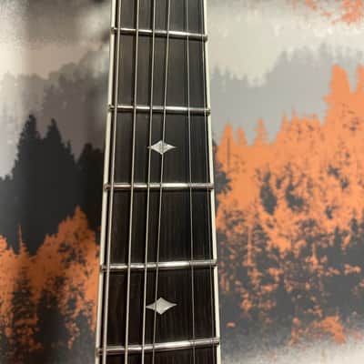 ESP LTD SD-2 Sammy Duet Signature + ESP Hard Case image 19