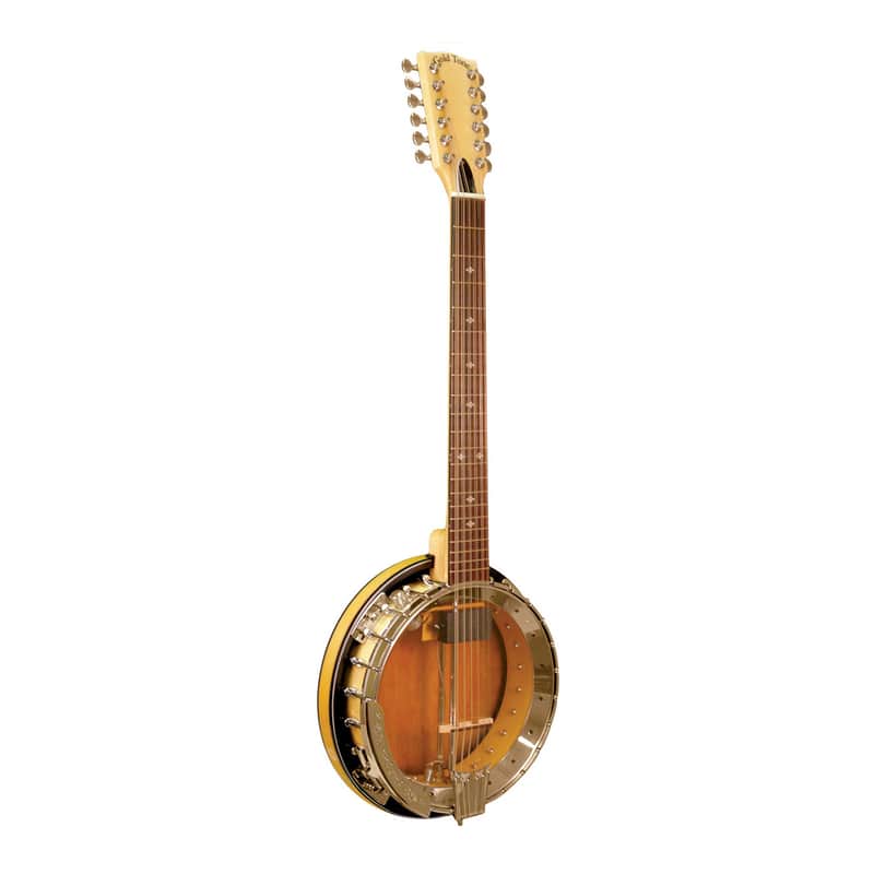 Gold Tone GT-1200 Banjitar image 1