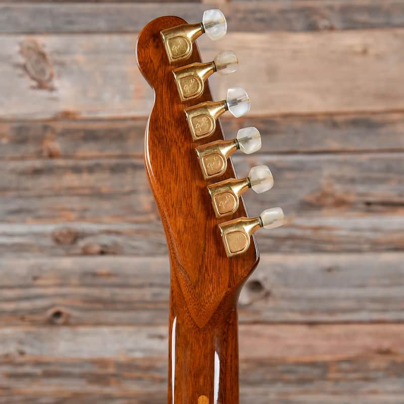 Fender Walnut Elite Telecaster image 6