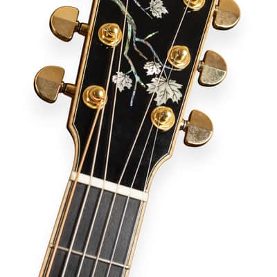 Eastman AC622CE image 11