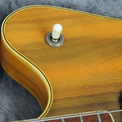 1967 Fender Coronado Bass II - Wildwood "Rainbow Golds" image 16