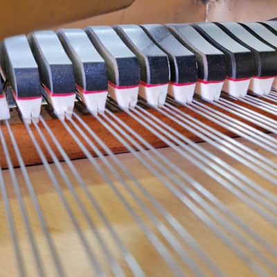 Steinway & Sons Concert Grand Piano image 20