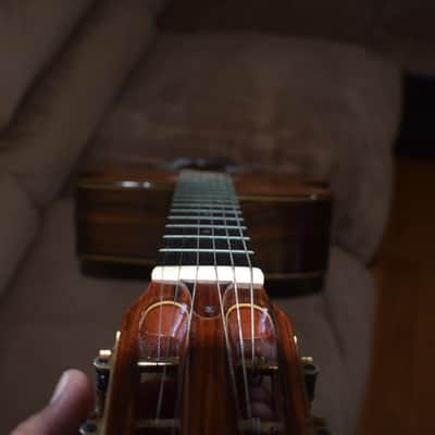 Rare Ibanez Mac 10 Signed by Mario Maccaferri 1981 image 13