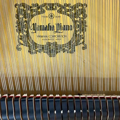 Yamaha DISKLAVIER MEZZA CODA NERO Bild 9
