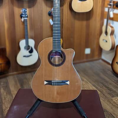Alhambra CS-2 CW E2 Crossover Classical Guitar w/Case (Used) image 1
