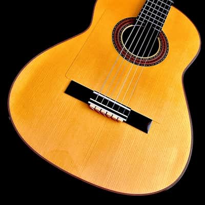 Omar Olague Double Back Concert Flamenca Blanca Especial 2024-Spruce/Cypress image 4