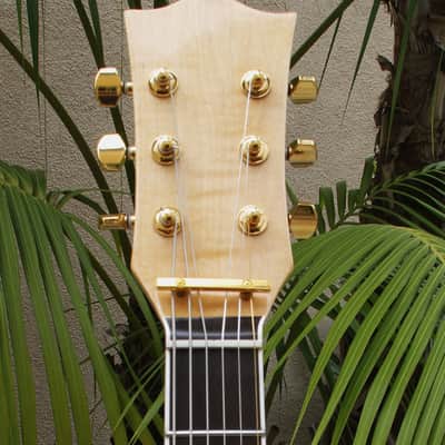 Les Paul Style By BurkeGuitar.com image 6