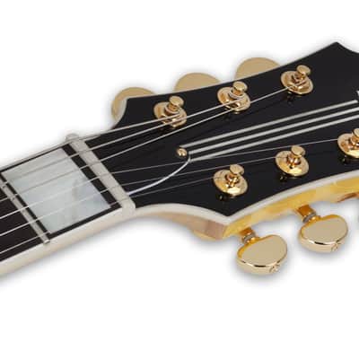 Schecter Odin Grail Genesis Electric Guitar. (GS) image 9