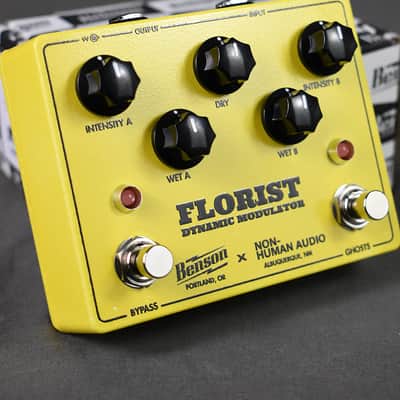Immagine Benson Amps Florist (Yellow) - 3