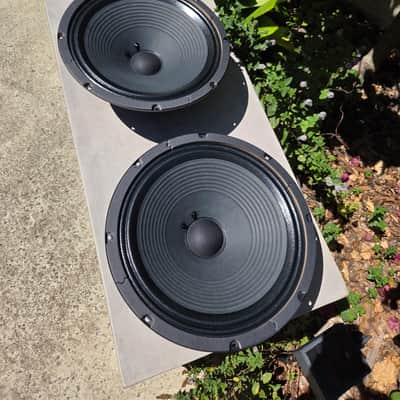 Blackstar speakers 12" 8 ohm 50 watt 2025 - Blk image 2