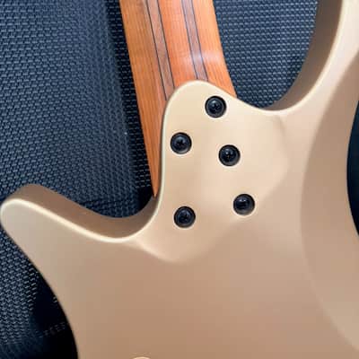 Strandberg Boden Bass Prog 5 10th Anniversary — GOLD (1 of 5 Worldwide) image 12